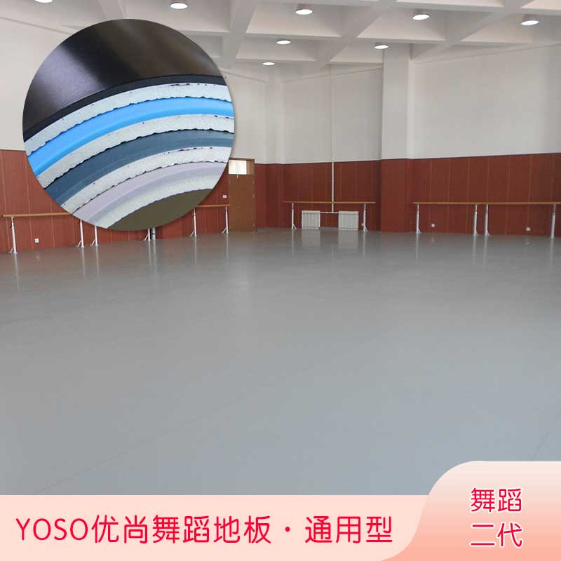 舞蹈二代·舞蹈91免费视频下载_舞台91免费视频下载