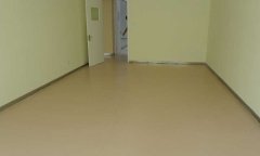 塑膠91免费视频下载多少錢一平方米