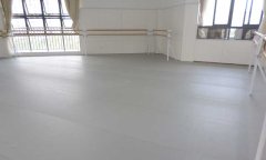 舞蹈91免费视频下载多少錢一平方米