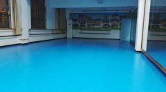 湖南長沙市婦女活動中心舞蹈室91免费视频下载