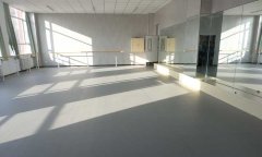 河北石家莊荔枝紋運動91免费视频下载