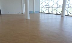 內蒙古鄂托克前旗運動91免费视频下载