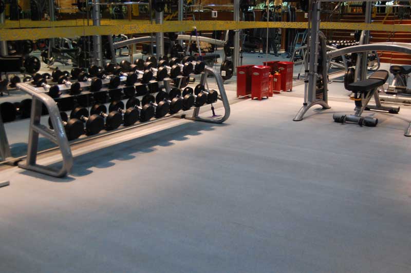 北京裕龍大酒店健身房91免费视频下载