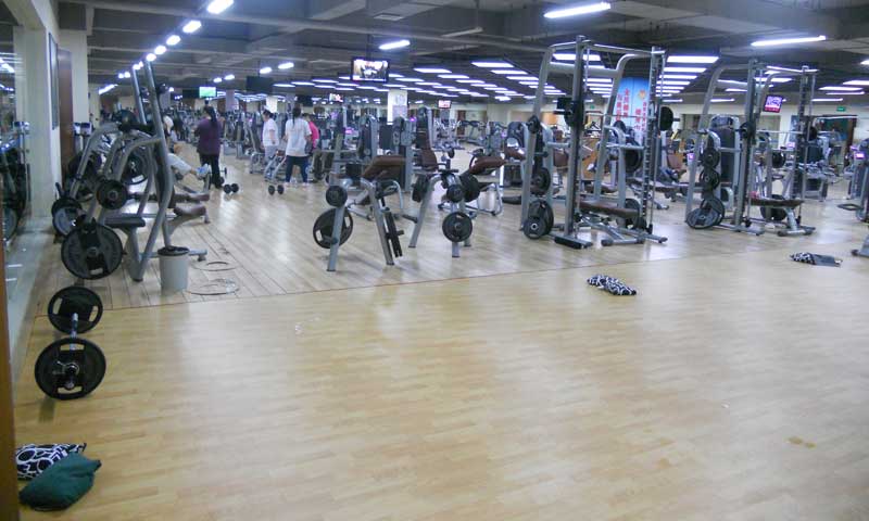 北京體育館健身房91免费视频下载