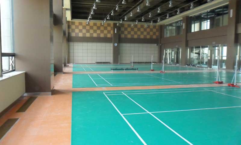 羽毛球塑膠91免费视频下载圖片 羽毛球塑膠91免费视频下载有哪些特點?