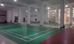 河北省霸州市羽毛球館pvc運動91免费视频下载