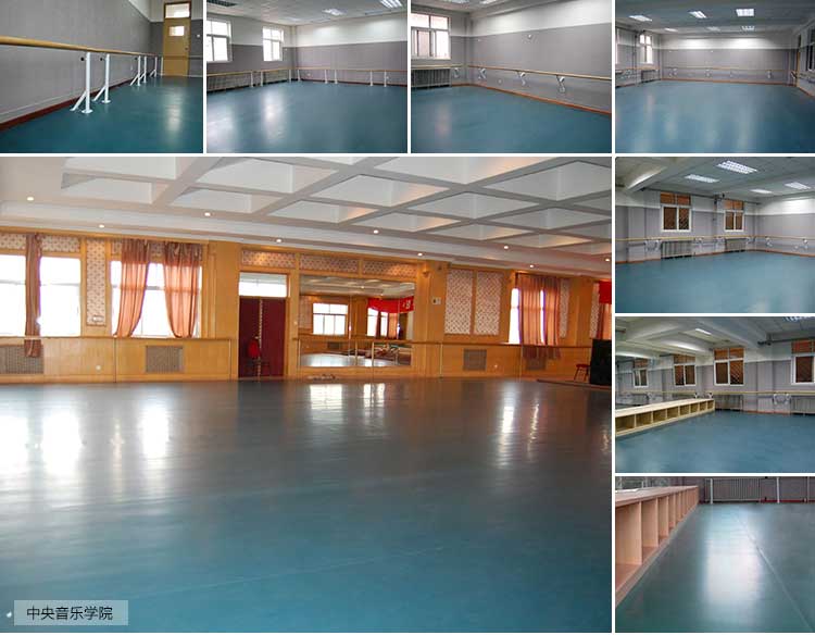 高彈係列·舞蹈91免费视频下载_舞台91免费视频下载