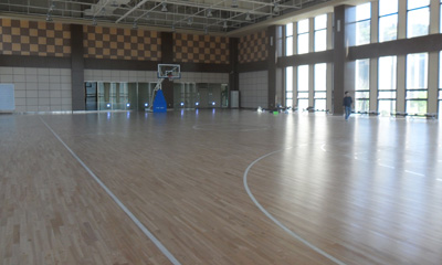 運動91免费视频下载